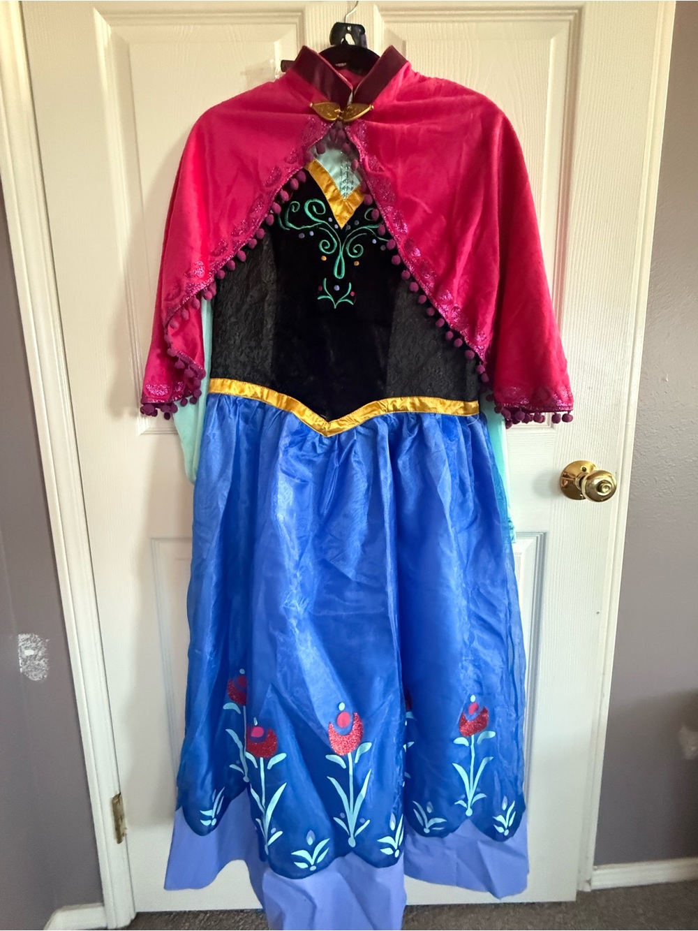 adult Anna costume from Frozen